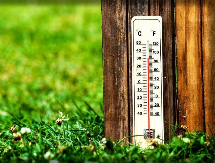 До +34 градусов в тени ожидается в Морозовске 20 июня