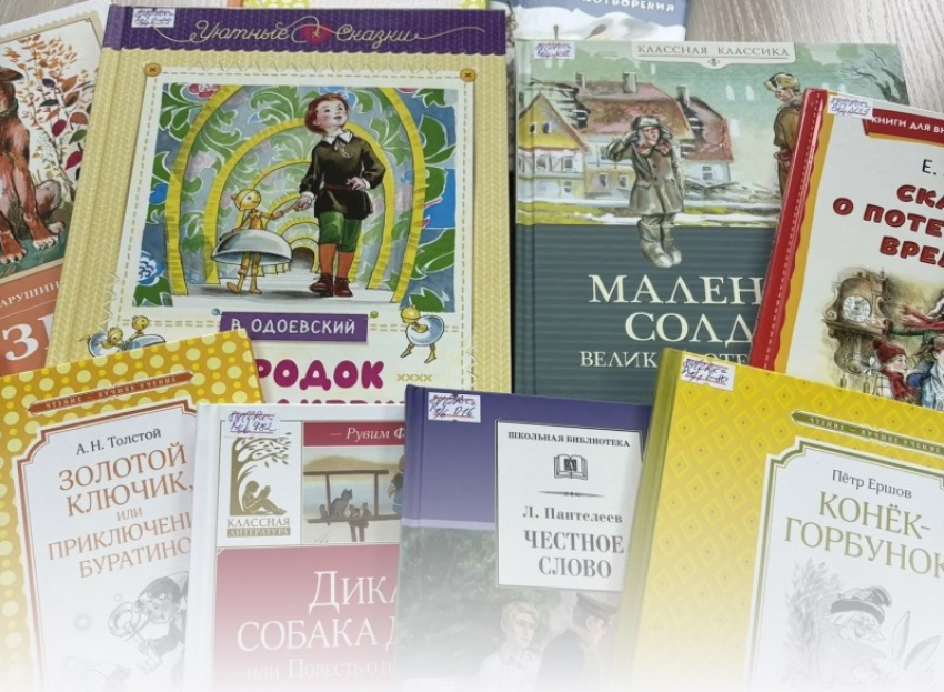 Библиотеки Морозовского района обновили фонды