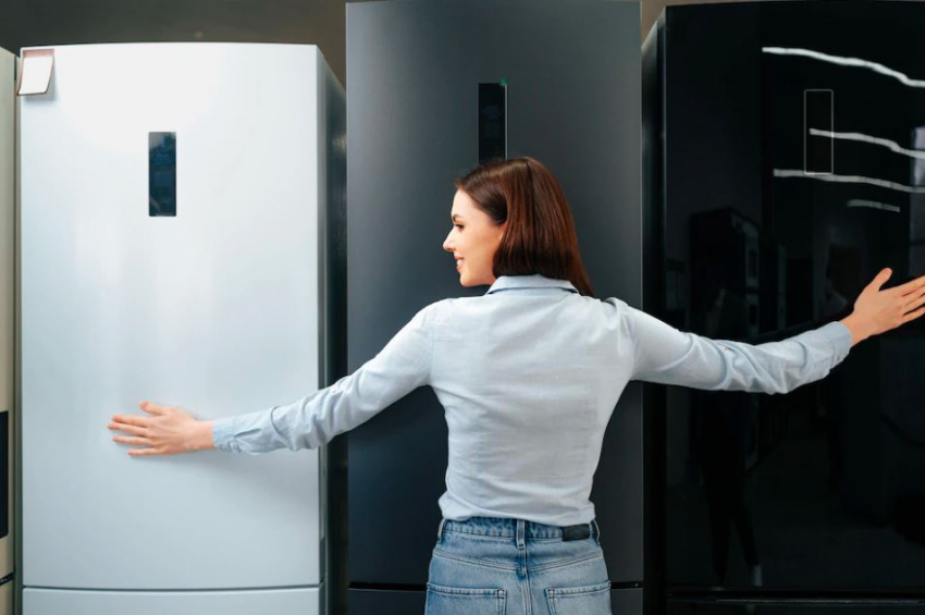 Где можно отремонтировать бытовой холодильник?