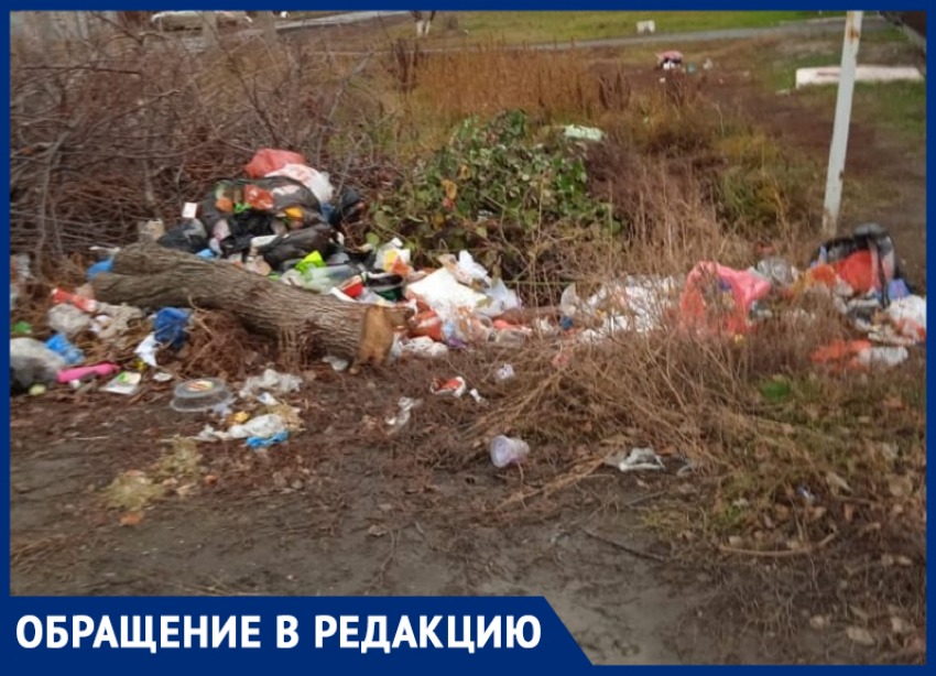 Позор для города! - морозовчанка о мусорных свалках на улице Дзержинского