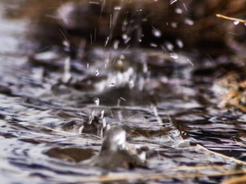 Тепло и влажно будет в Морозовске во вторник, 5 марта