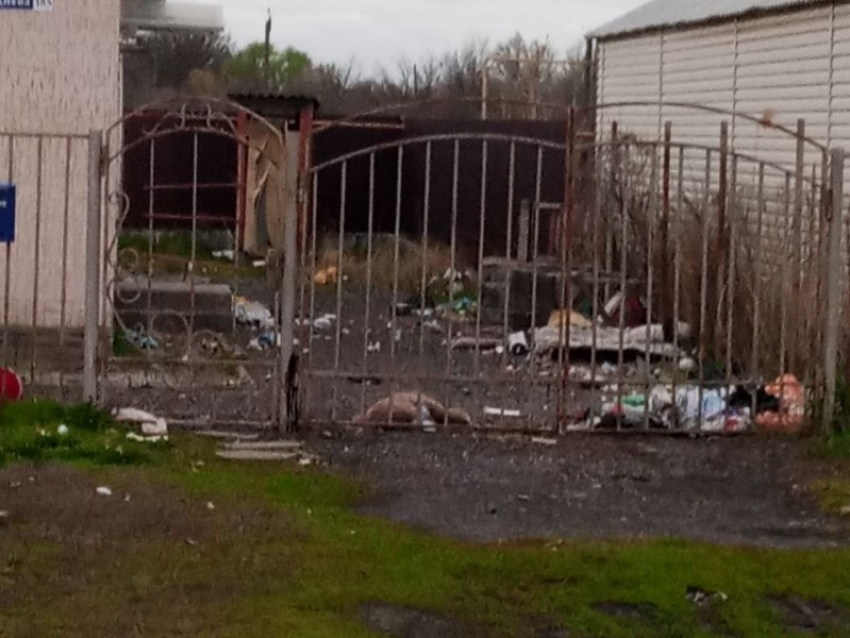 Грязный двор на Руднева уберут после публикации в «Блокноте»