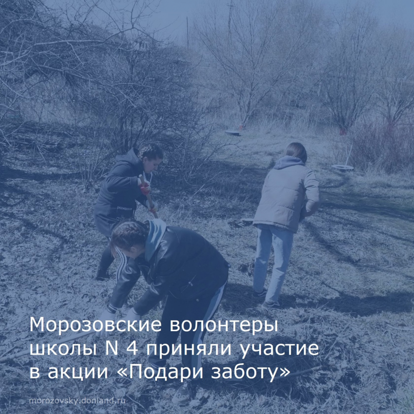 На каникулах школьники Морозовского района приняли участие в акции «Подари заботу»