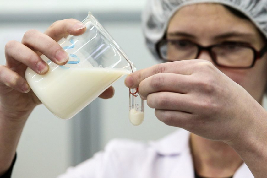 Осторожно, фальсификат: на Дону выявили подделку под молочную продукцию «из Морозовска"