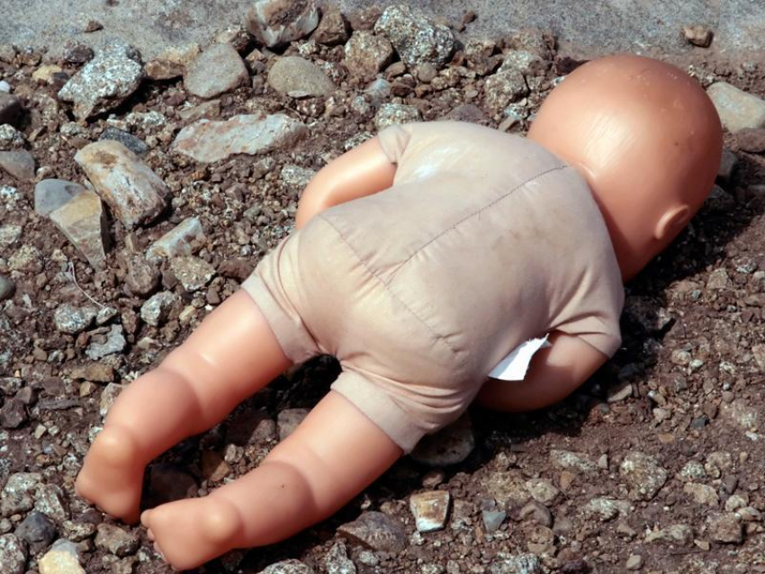 Частично скелетированный труп младенца нашли возле «Светофора» в Морозовске