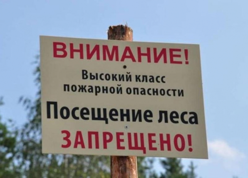 Режим ограничения пребывания граждан в лесах продлен на Дону до 13 августа