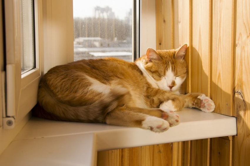 Ночью во вторник  в Морозовске будет прохладно, днем - жарко