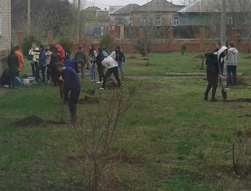 Новыми молодыми деревцами пополнилась зеленая зона школы №4 в Морозовске