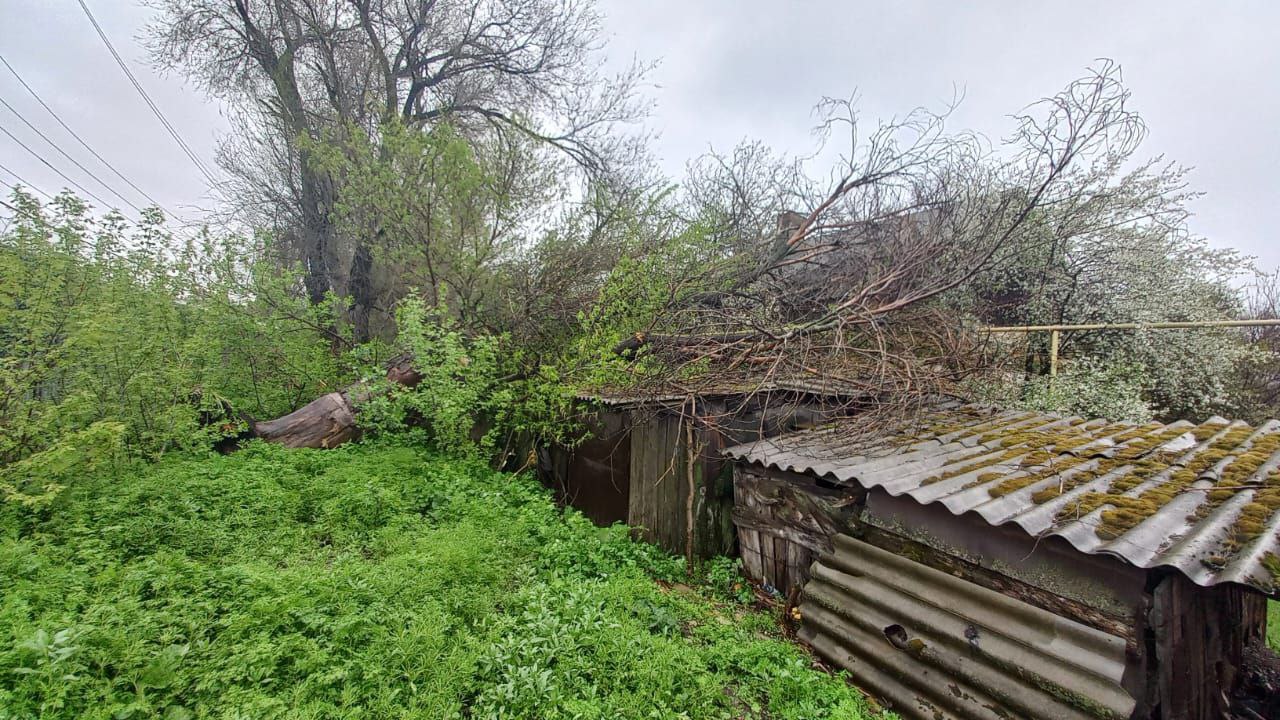 Дерево упало на крышу дома