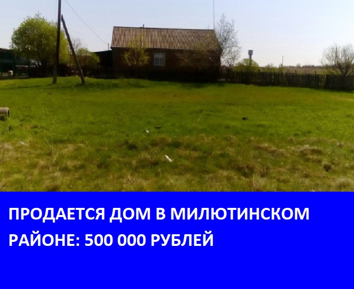 379513962.jpg 379513962.jpg